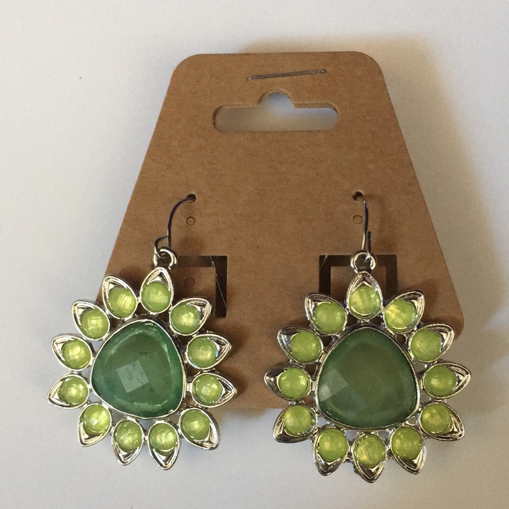 FINAL MARKDOWN Pair of NOC Fishhook Earrings